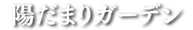 【公式】恵比寿 樹木葬 陽だまりガーデン